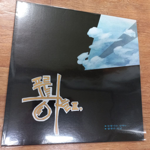 푸른하늘 lp판 -겨울바다