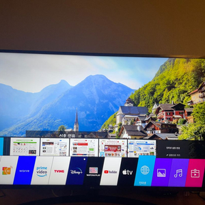 LG 55인치 스마트TV