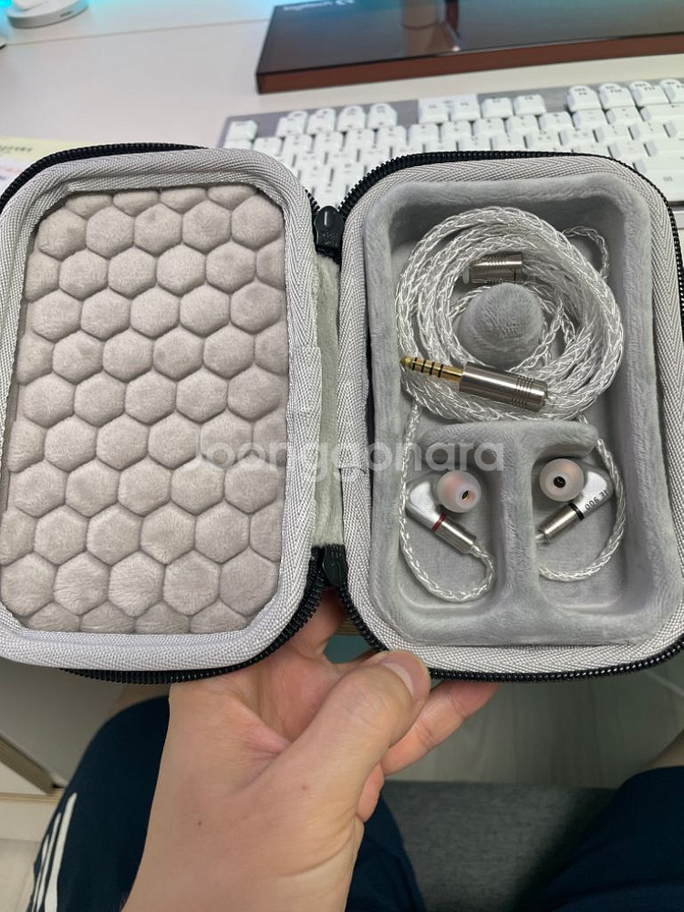 IE900 및 루시드이어스 일괄 팝니다.--1