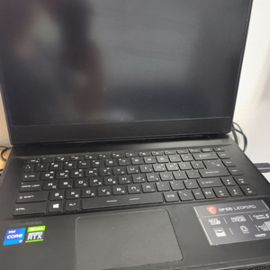 MSI GP66 Leopard 판매합니다