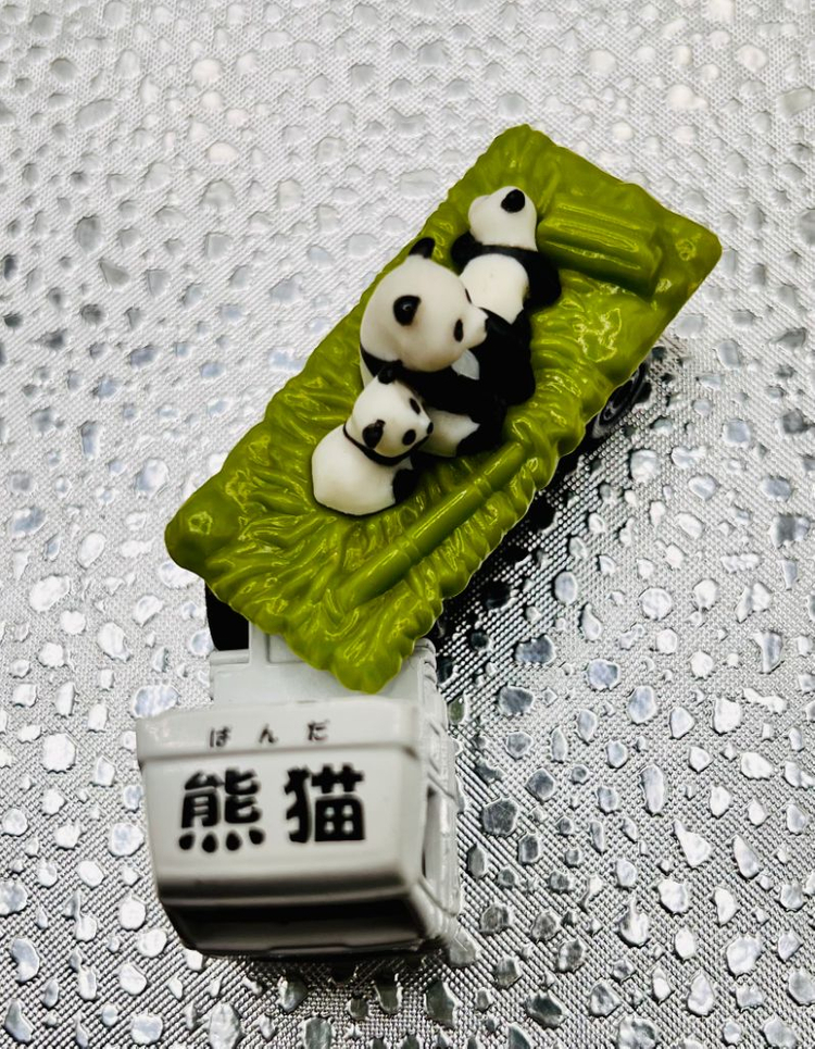 [개봉] 토미카 NO3. 동물 운반차 팬더 (2009)--6