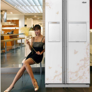 삼성제펠 양문형 냉장고