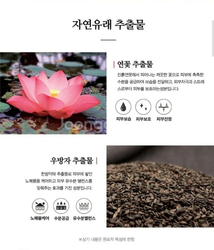 코리아나 로댕 궁 고흔 프리미엄 크림 팔아요!--4