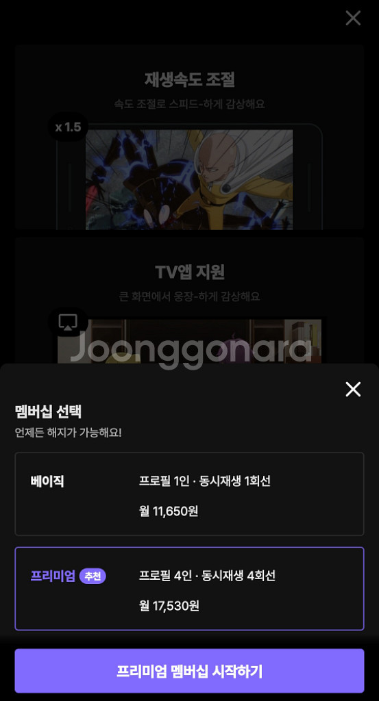라프텔 4인팟 구함 (1명)--1