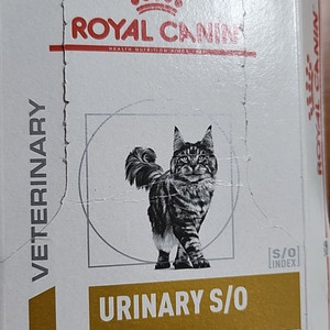로얄캐닌 고양이 사료(1kg)