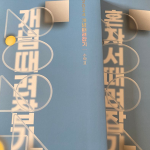 개념 때려잡기 수2 정승제 선생님, 혼자서 때려잡기