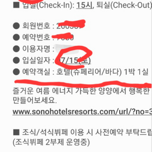 강원도 양양 쏠비치 7월 15일 숙박권 팝니딘