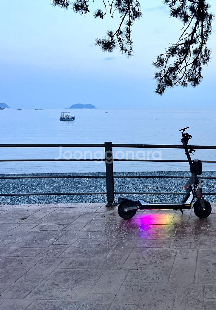 세그웨이 GT1 판매--0