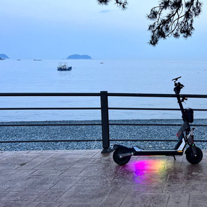 세그웨이 GT1 판매