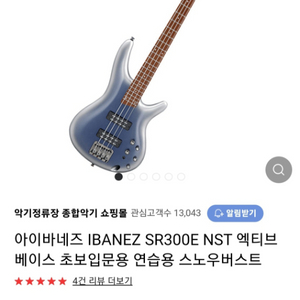 아이바네즈 sr300e night snow burst