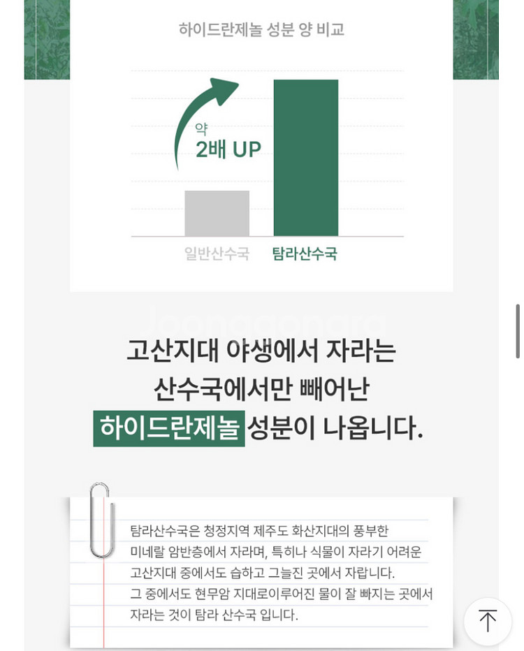 요망진 빼다수(다이어트 음료 / 다이어트 차 )2달분--1