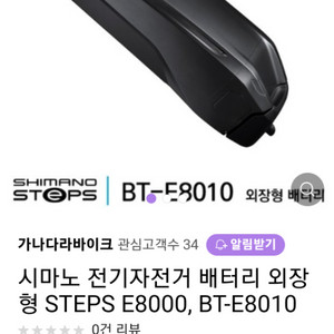 BT-e8010 전기자전거배터리