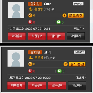 로스트사가 Core 닉 팝니다