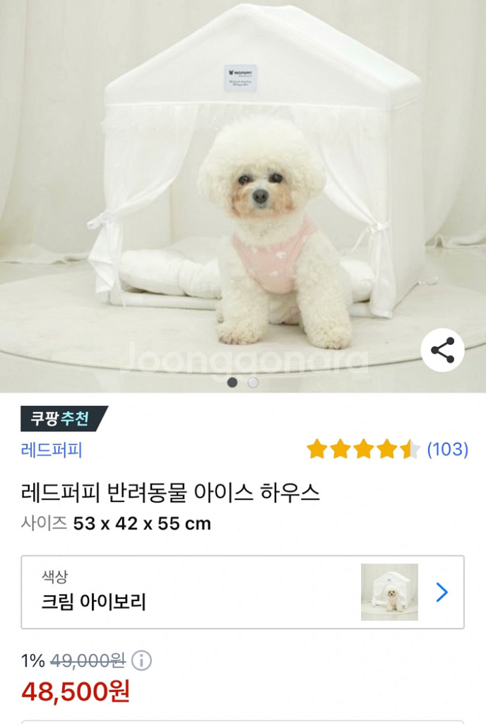 레드퍼피 반려동물 아이스하우스--0