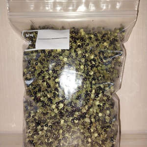 제피열매 (건조 200g)