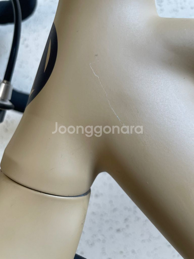 2021 엔진11 볼텍스 픽시 자전거 s(50)사이즈--6