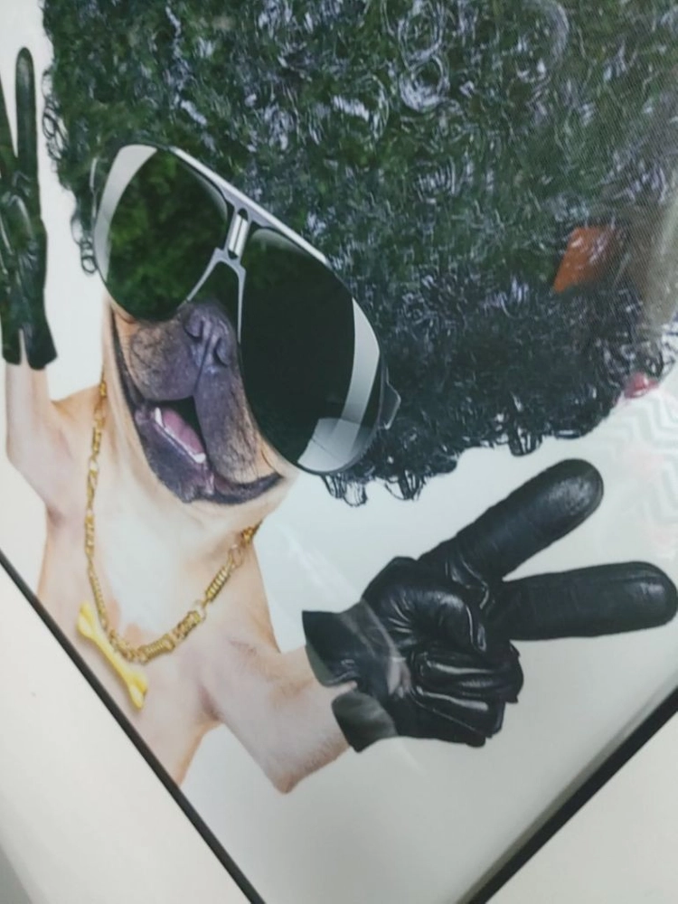 플렉스 힙합 퍼그 오마쥬 일러스트 팝아트 그림 액자 이미지