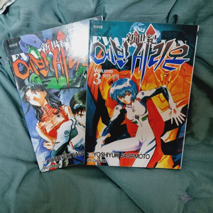 에반게리온 책 2,3권 판매