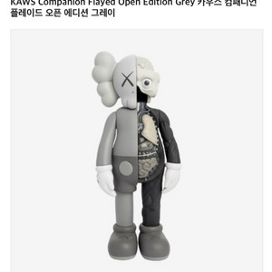 카우스kaws 컴패니언 해부도 플레이드 오픈에디션