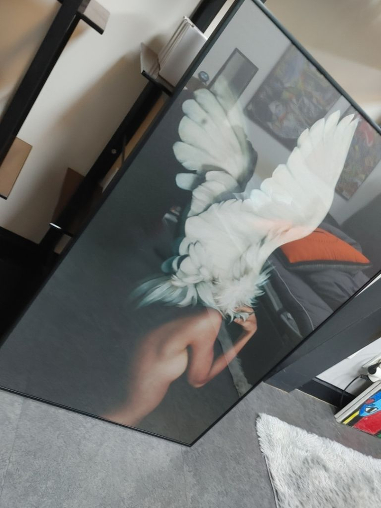 천사 비둘기 현대미술 추상화 일러스트 그림 액자--1