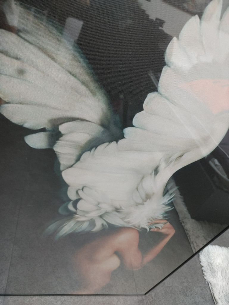 천사 비둘기 현대미술 추상화 일러스트 그림 액자--2