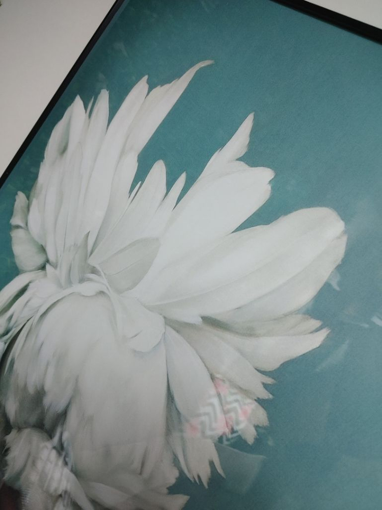 목련화 백합 인물 추상화 현대미술 포스터 그림 액자--3