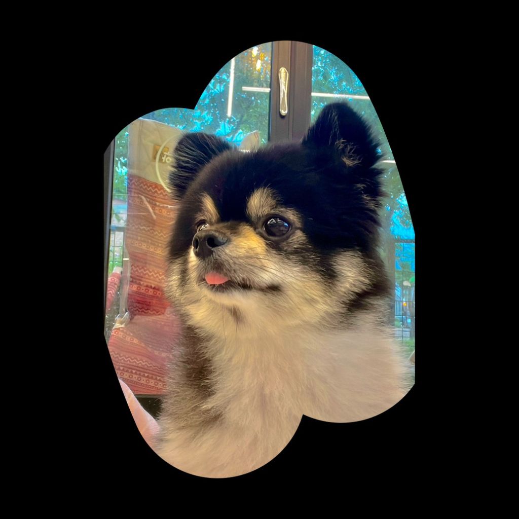 profile-image
