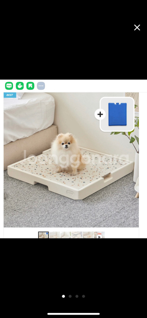 파미야 강아지 고양이 대리석 쿨매트--0