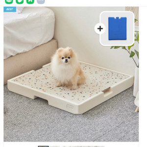 파미야 강아지 고양이 대리석 쿨매트