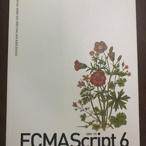 ECMASScript 6 자바스크립트 책 (새책) 판매