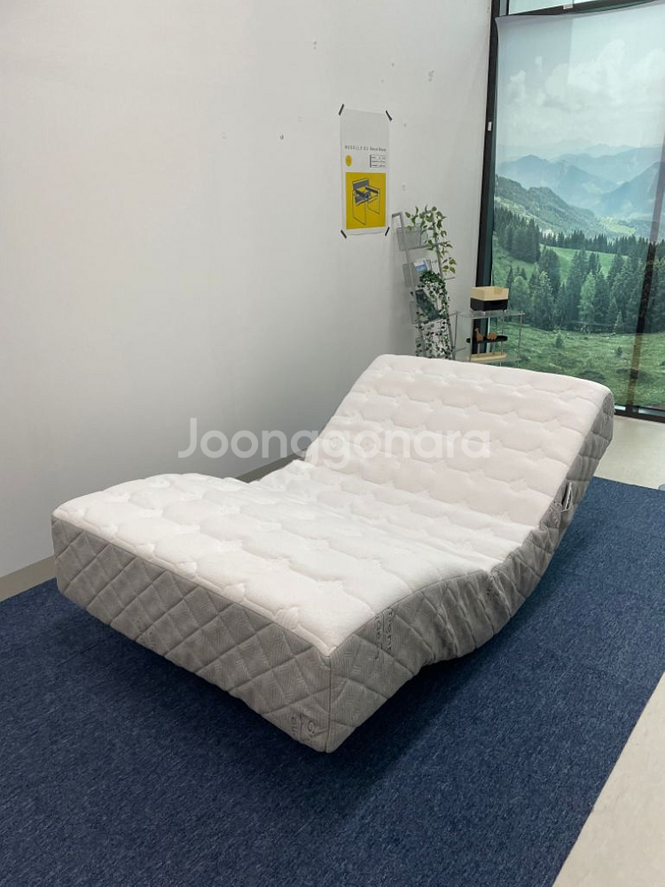 모션 전동 매트리스와 통판 침대프레임 세트 팝니다--8