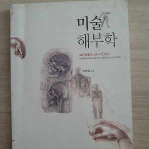 미술해부학