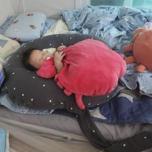 다이소꽃게인형삽니다