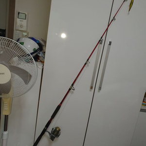 다이와릴.NS루어낚시대.루어 판매 합니다 ^^