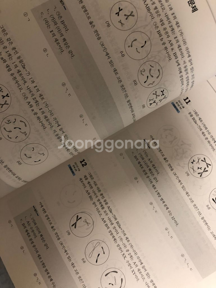 새상품 백호 상크스 문제집 판매합니다 2024ver--2