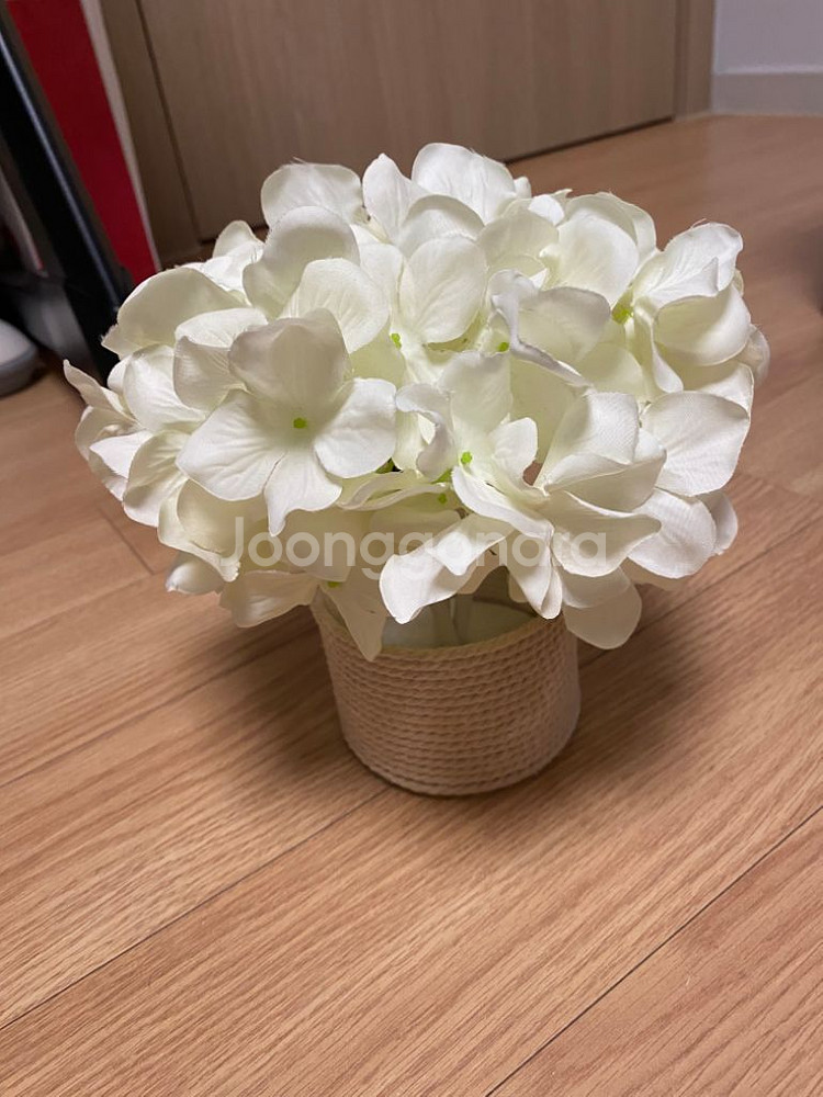 꽃 램프 플라워 코튼 스탠드--0