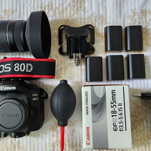 캐논 80D+(55m-250mm . 18-55mm)렌즈