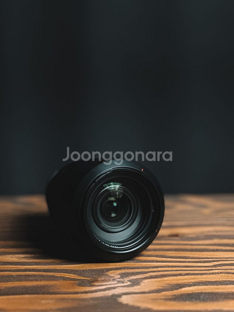 소니 FE 24-240mm 전방위 렌즈--2