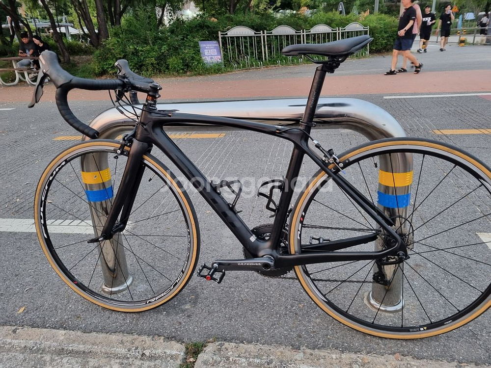 첼로 케인 마크2 판매--0