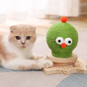 새제품 고양이 버드 스크리쳐