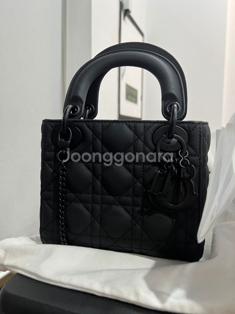 디올레이디백미니 무광--0