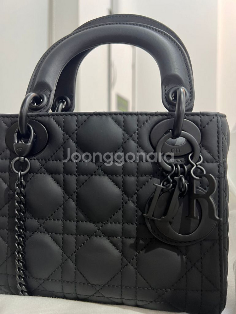 디올레이디백미니 무광--1