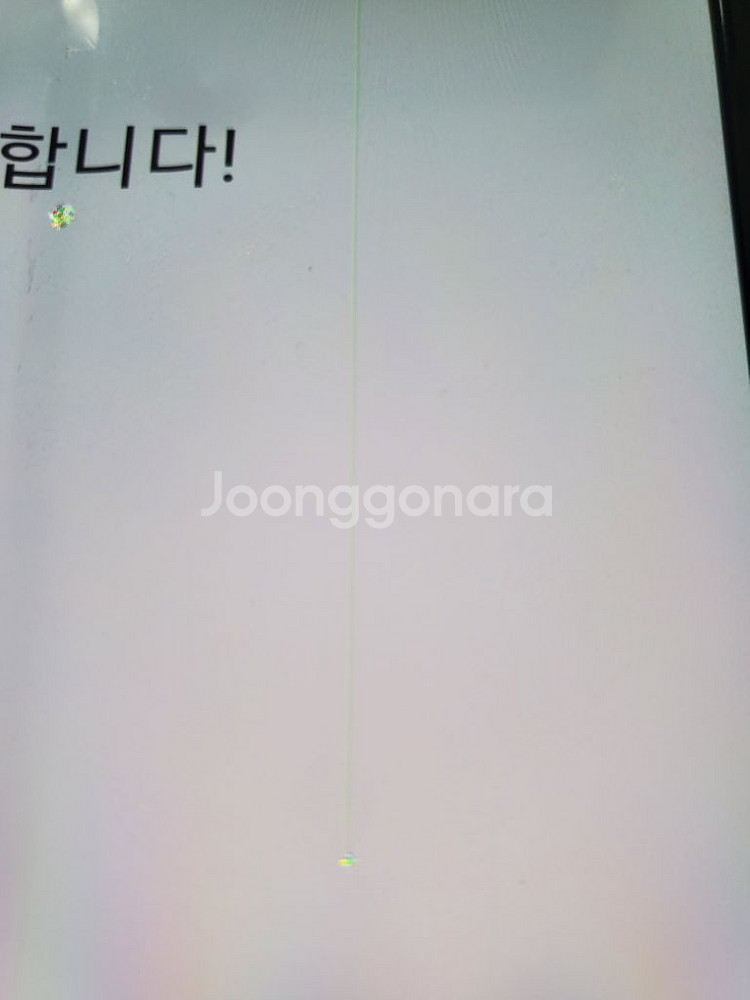 폴드1--1