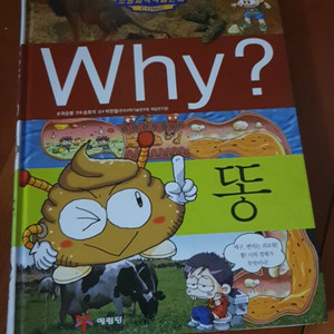 why? 똥