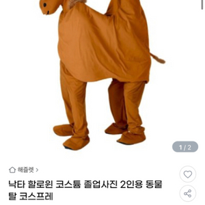 졸업앨범 할로윈 이벤트 낙타탈