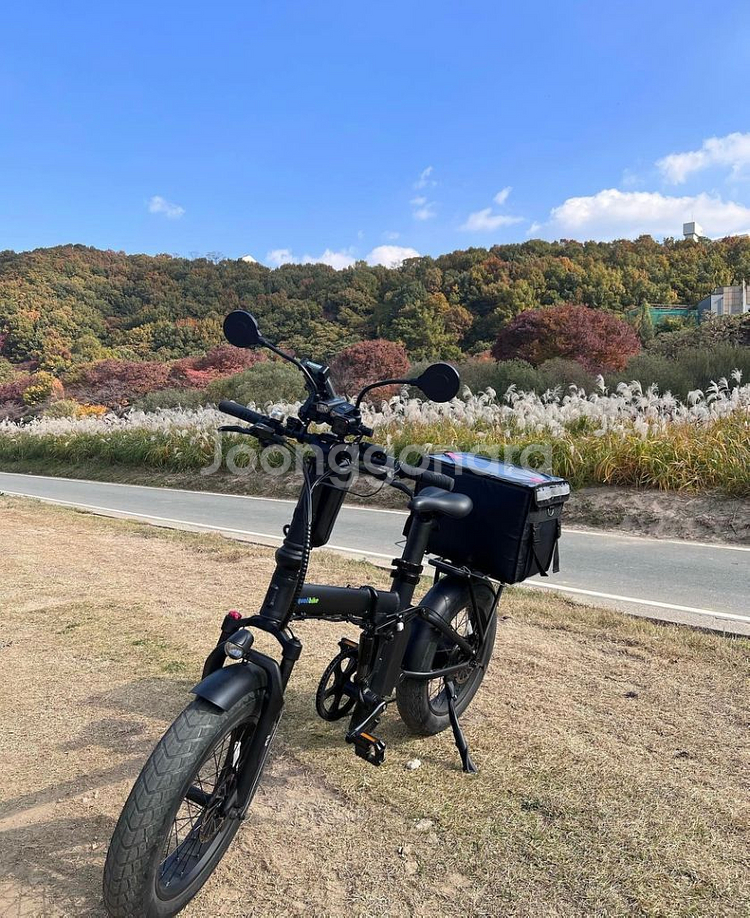 퀄리 맥스 리미티드 전기자전거 판매--0