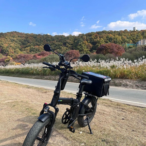 퀄리 맥스 리미티드 전기자전거 판매