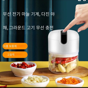 전기 주방 마늘 초퍼 다기능 다진고기 생강 분쇄기