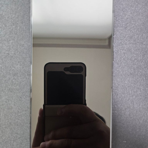 갤럭시 S21 플러스