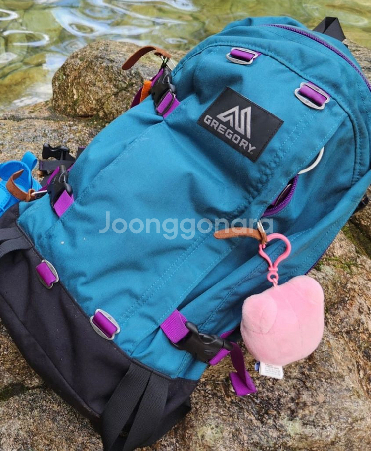 그레고리 올데이 2018 한정 백팩 등산 배낭 가방--4